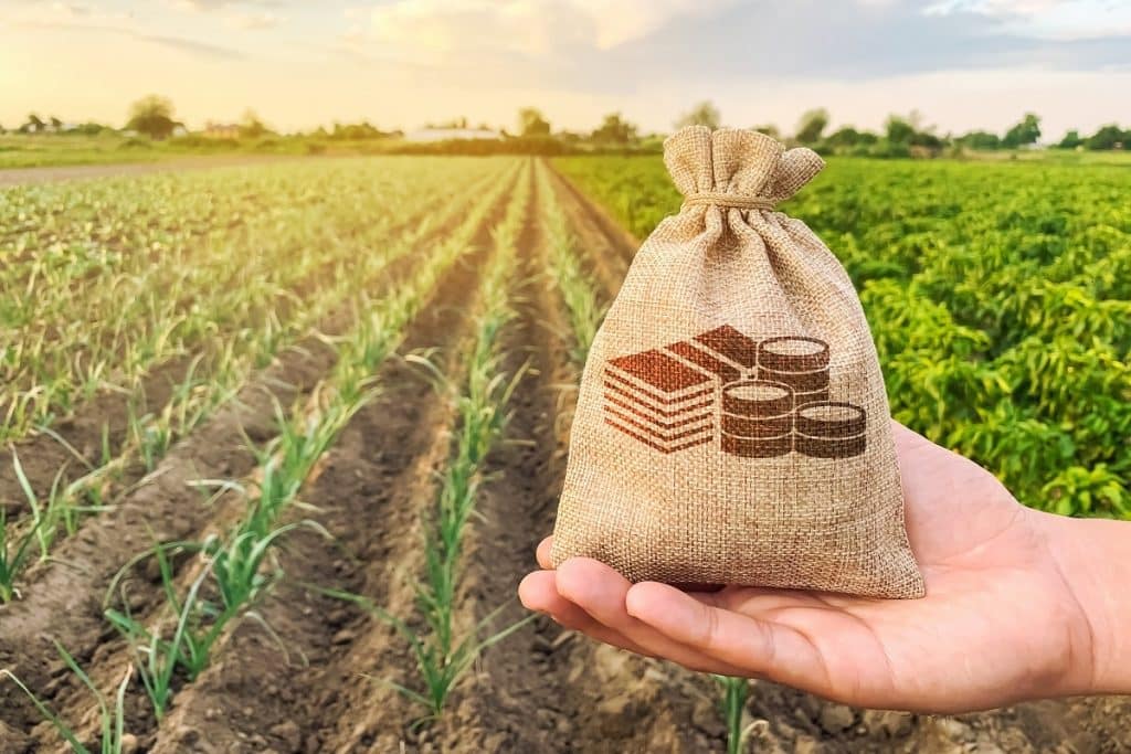 Agribusiness in Brazil promises record crop figures in 2022