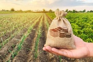 Agribusiness in Brazil promises record crop figures in 2022